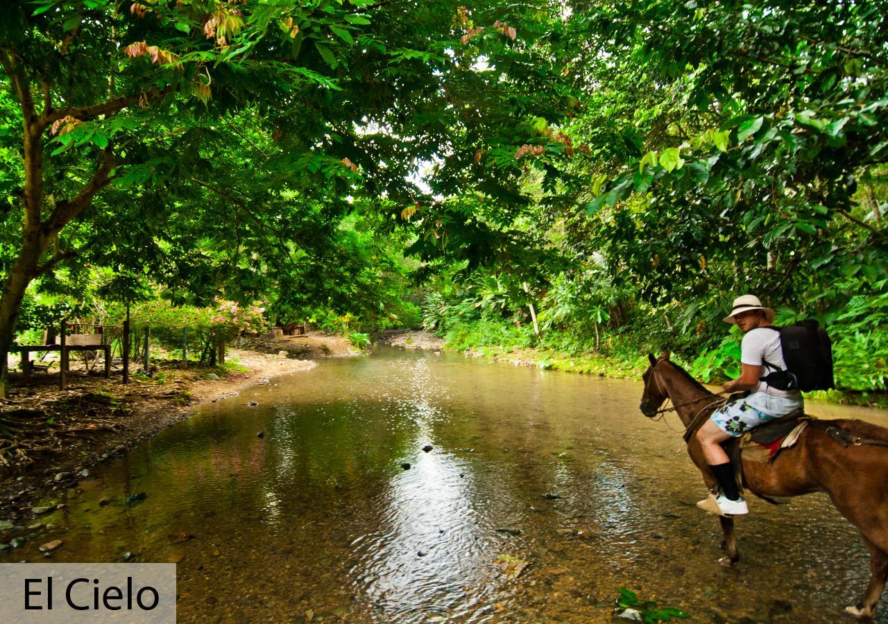 Tacarcuna Lodge Capurganá 外观 照片